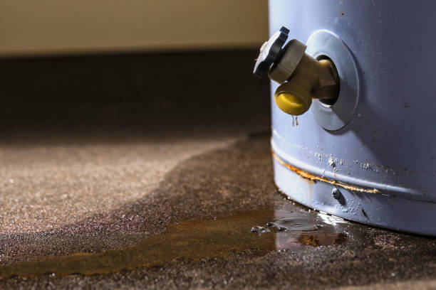 Best Water damage restoration near me  in Paincourtville, LA