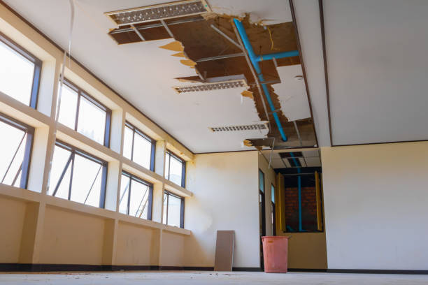 Best Water damage contractors near me  in Paincourtville, LA