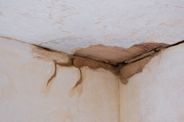 Best Water damage restoration company  in Paincourtville, LA