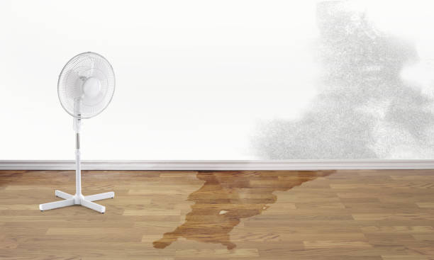 Best 24-hour water damage restoration  in Paincourtville, LA