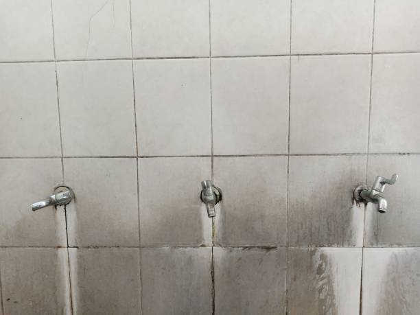 Best Sewage cleanup and water damage restoration  in Paincourtville, LA