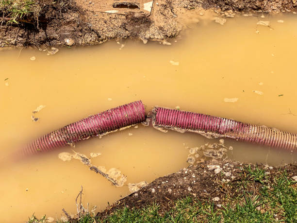 Best 24/7 water damage repair  in Paincourtville, LA