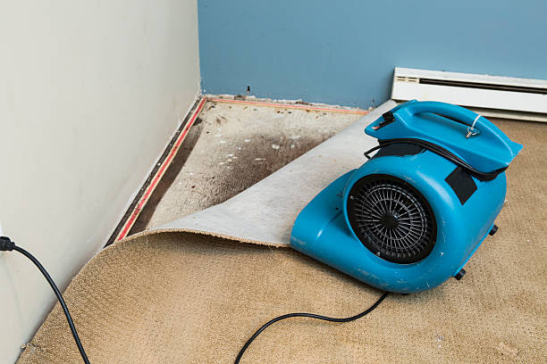 Best Fire Damage Restoration  in Paincourtville, LA
